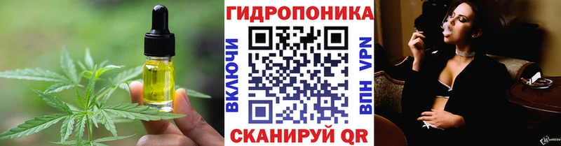 дарнет шоп  Тарко-Сале  Печенье с ТГК конопля 