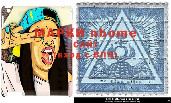 хмурый Арсеньев