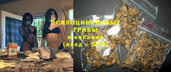 соль ск Аркадак