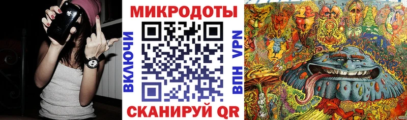 купить наркоту  Тарко-Сале  площадка какой сайт  Псилоцибиновые грибы Psilocybine cubensis 